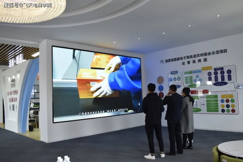 縣委常委、宣傳部部長甘占芳一行蒞臨電子商務公共服務中心指導商務服務工作