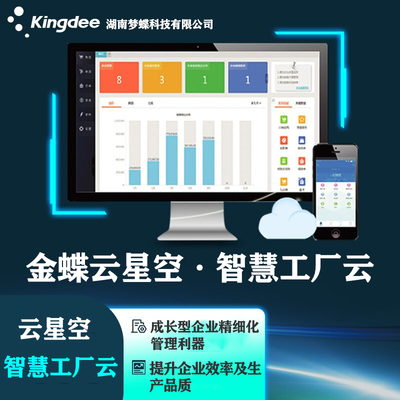 財(cái)務(wù)軟件硬件系統(tǒng)研發(fā) 構(gòu)建高效、安全與可靠的財(cái)務(wù)數(shù)字化基石
